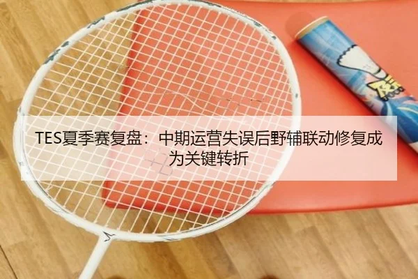 TES夏季赛复盘：中期运营失误后野辅联动修复成为关键转折